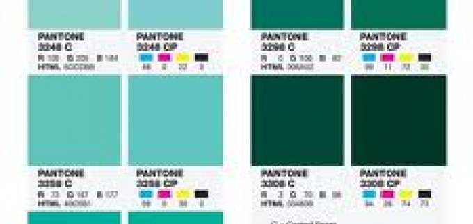 Pantone Color Bridge Coated / Uncoated interior 