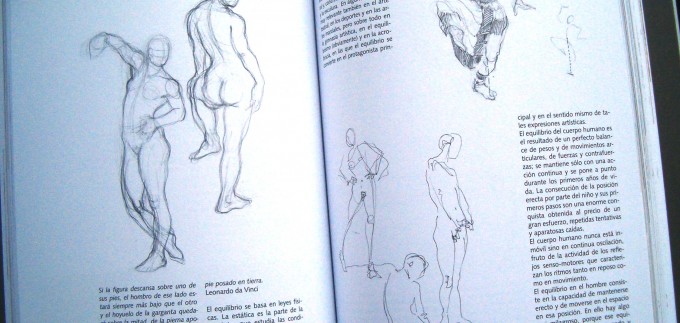 Dibujo de la Figura Humana interior 4