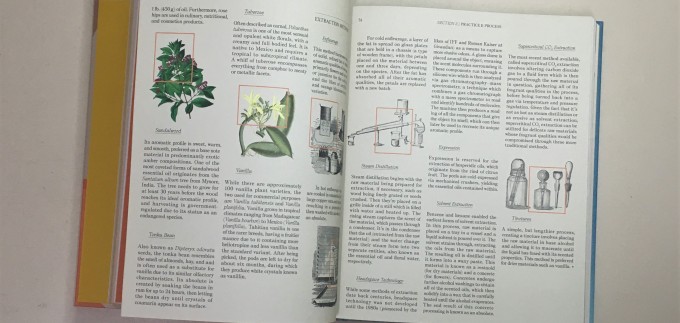 The essence discovering online the world of scent
